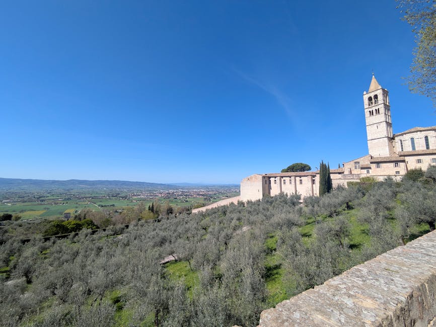 Assisi cathedral panoramic olive groves view