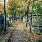 People walking on a tree-lined path through Pere Lachaise Cemetery in autumn
