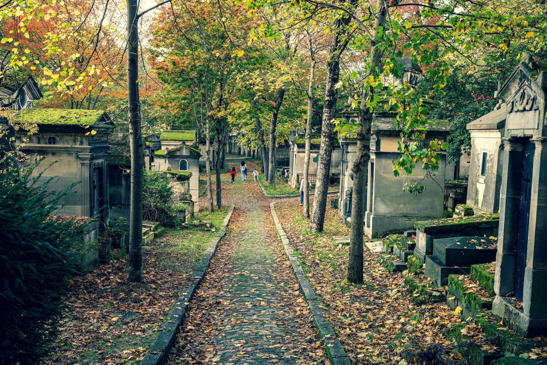 Serene autumn cemetery scene with tree-lined path and visitors walking