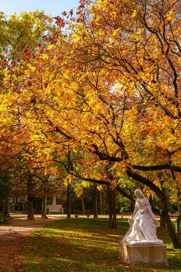 Autumn scene in a Parisian park with colourful foliage and a classic statue