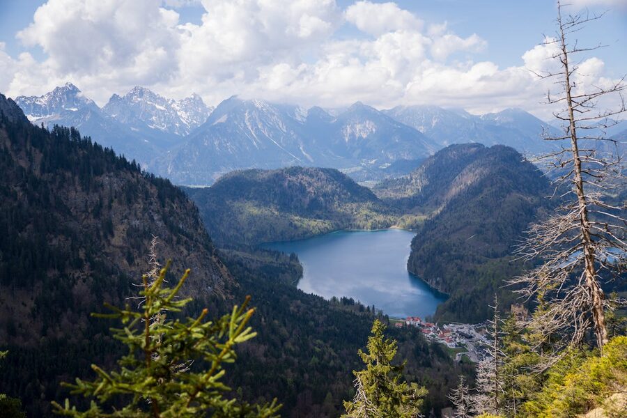 Alpine pasture in the Bavarian Alps
