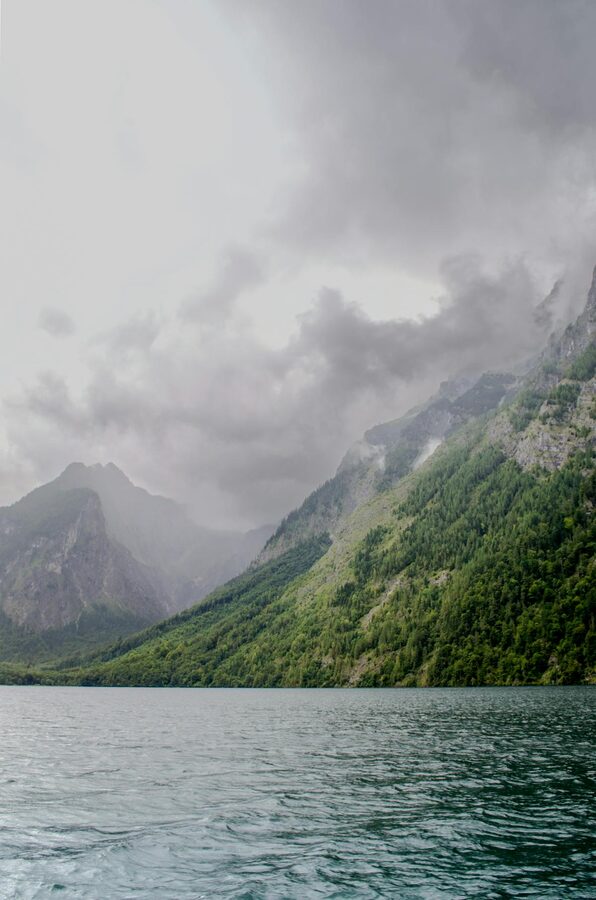 Green mountain meadow in Berchtesgaden Alps