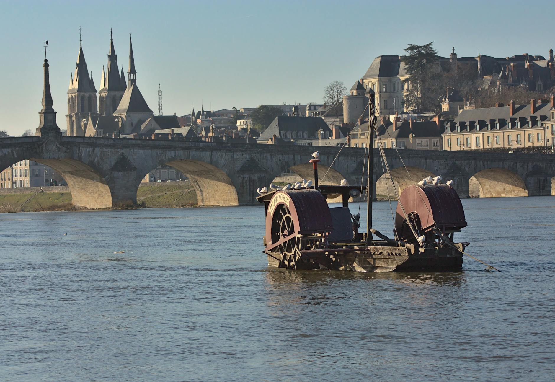 Blois, France featuring Jacques-Gabriel Bridge and historic architecture