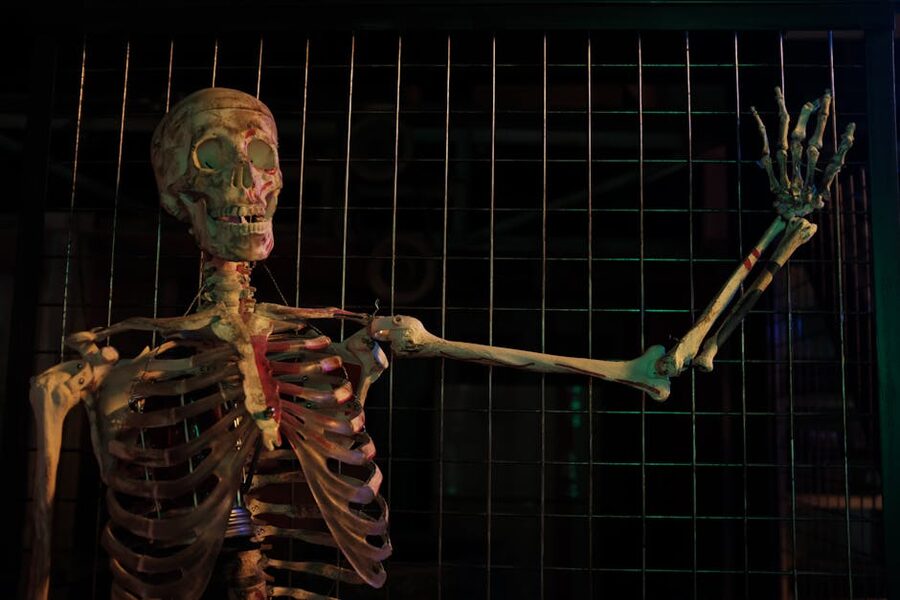 Spooky skeleton model behind wire