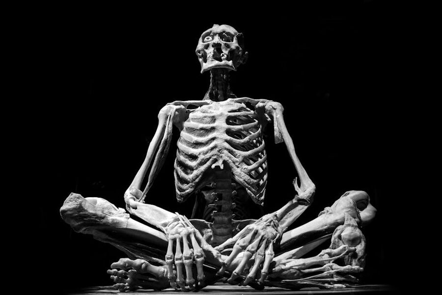 Skeleton sculpture in black and white