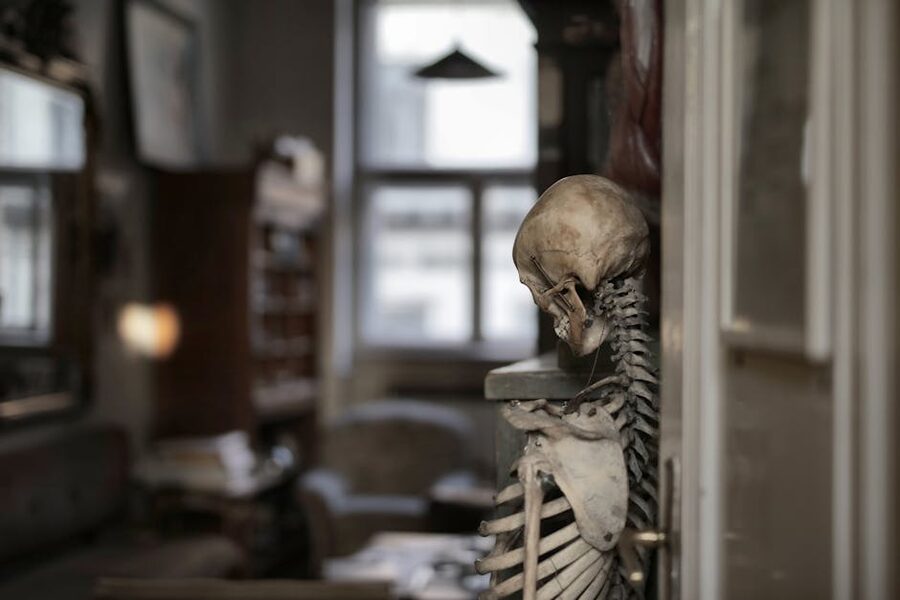 Human skeleton in selective focus leaning on wall