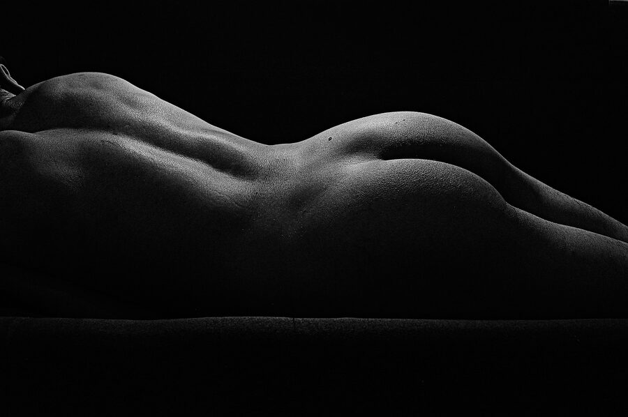 Anatomy human body model display