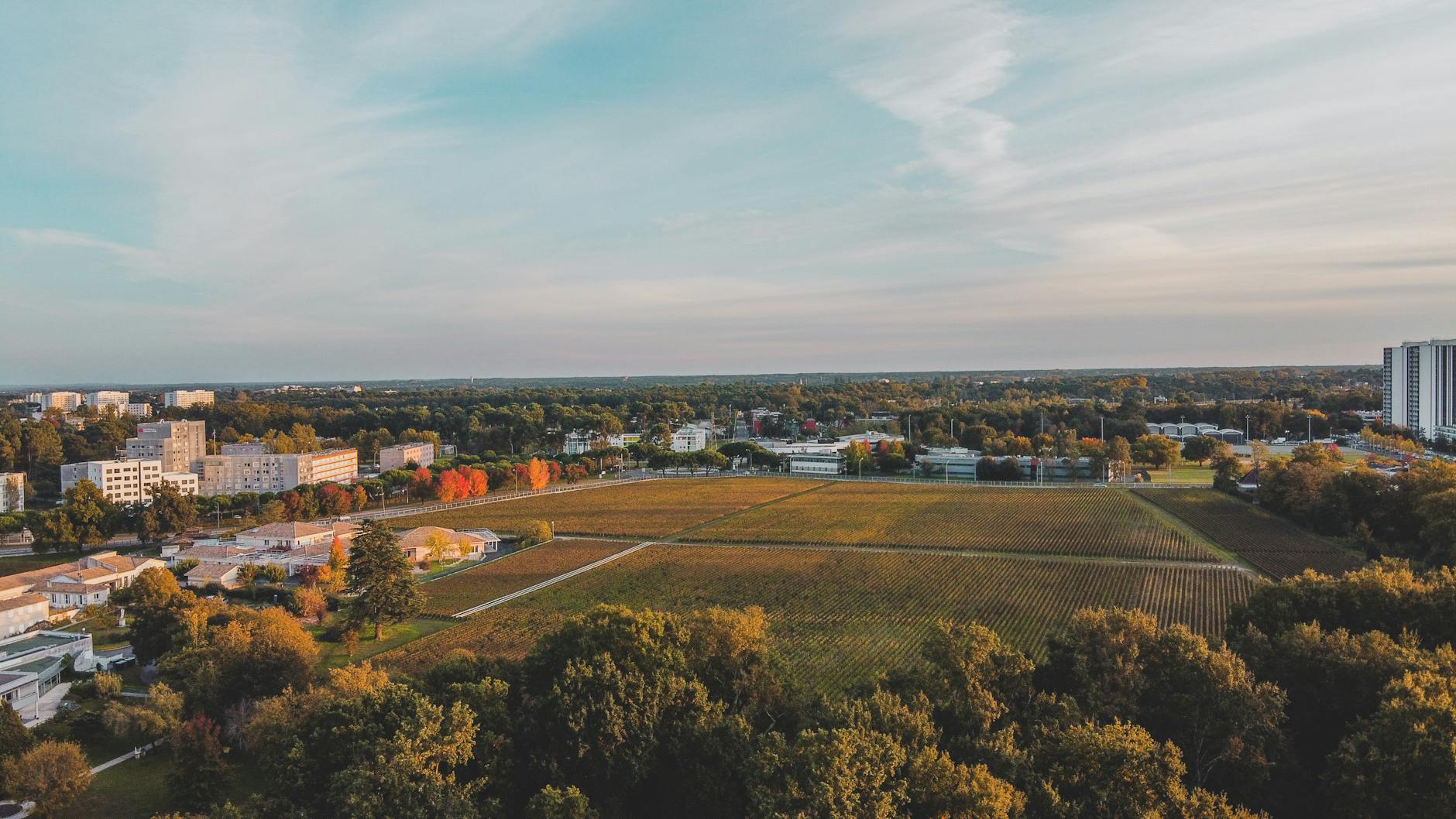 Aerial autumn landscape over the Bordeaux region of France