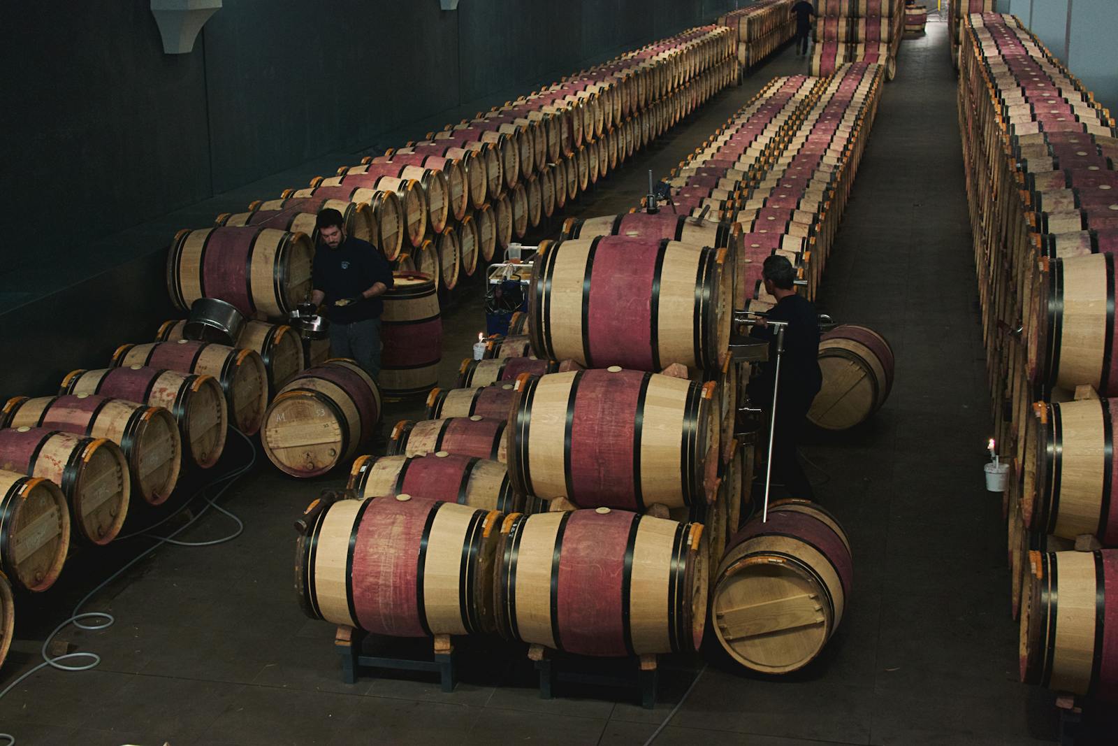 Aerial view of a Margaux wine cellar showing oak barrels in Bordeaux France