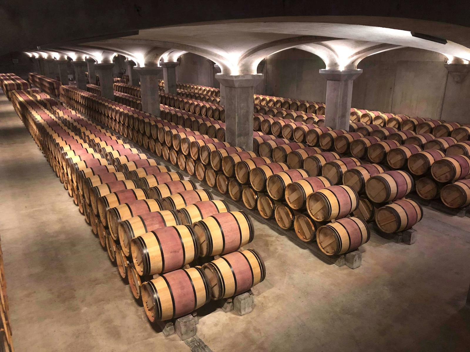 Rows of oak wine barrels aging in a Bordeaux winery cellar in France
