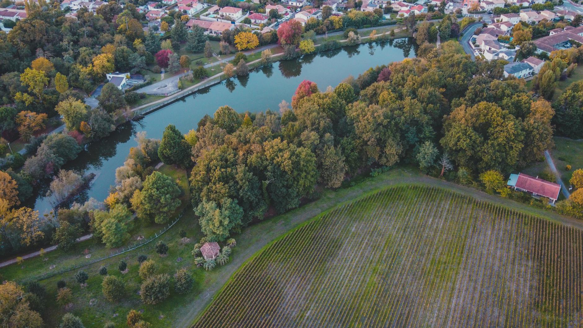 Aerial view of Bordeaux vineyards in autumn