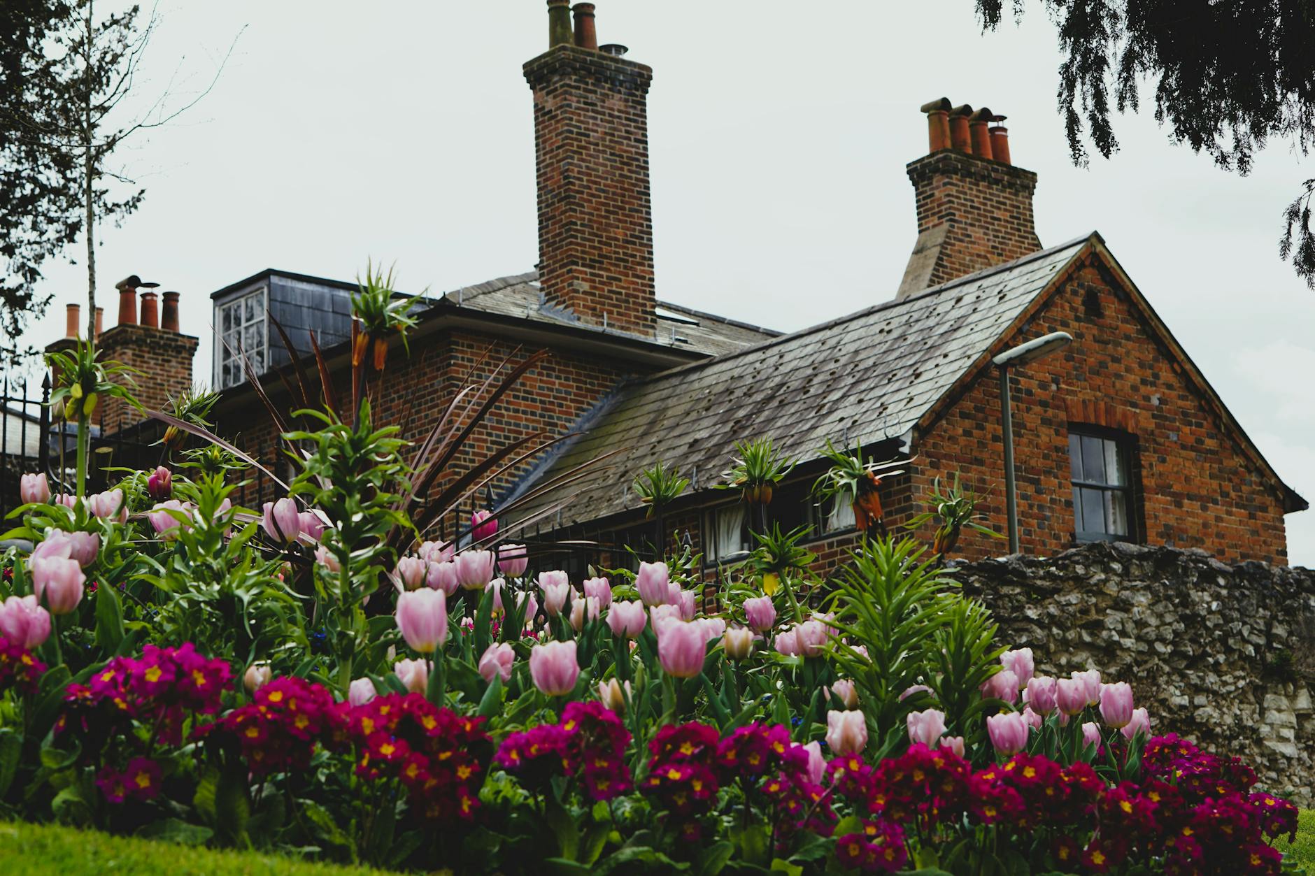 Brick cottage with spring flowers in a small garden