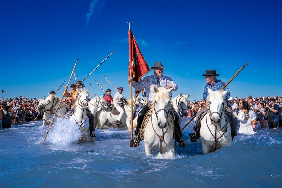 Camargue horse riders leading a festival procession through water