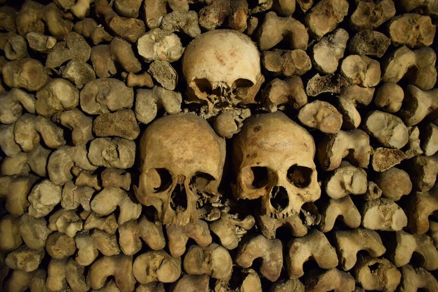 Skulls and bones stacked in catacombs display