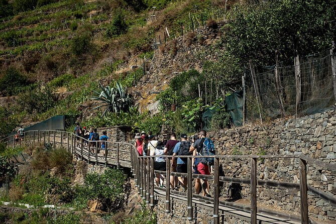 Cinque Terre Day Trip with Optional Hiking or Pisa - Manarola first: terraces, medieval details, and the town’s clever engineering
