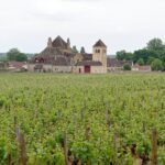 clos-vougeot-castle-vineyard-burgundy