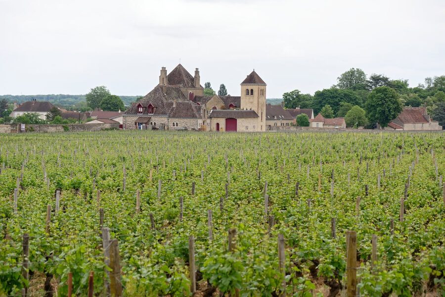 clos-vougeot-castle-vineyard-burgundy
