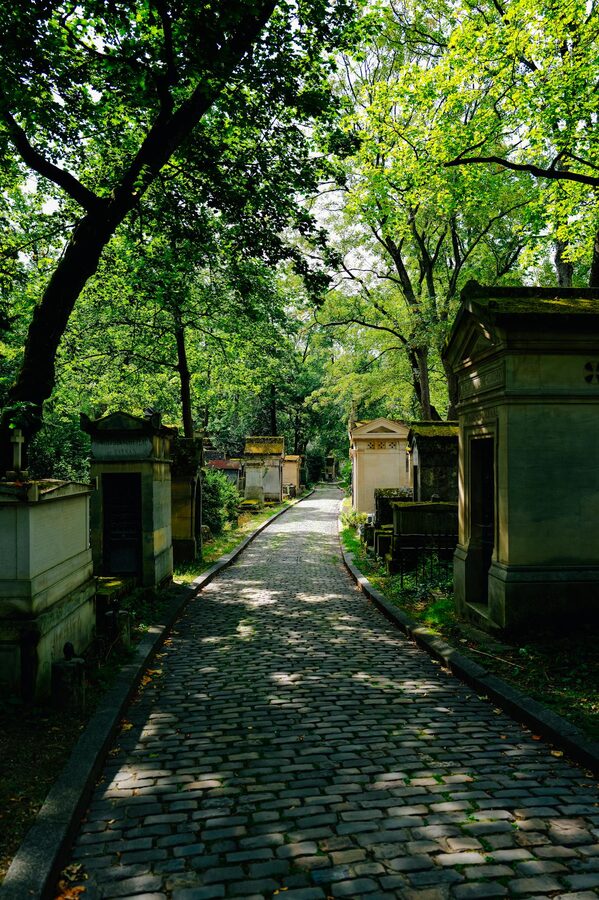 Cobblestone path through lush greenery in a historic Paris cemetery