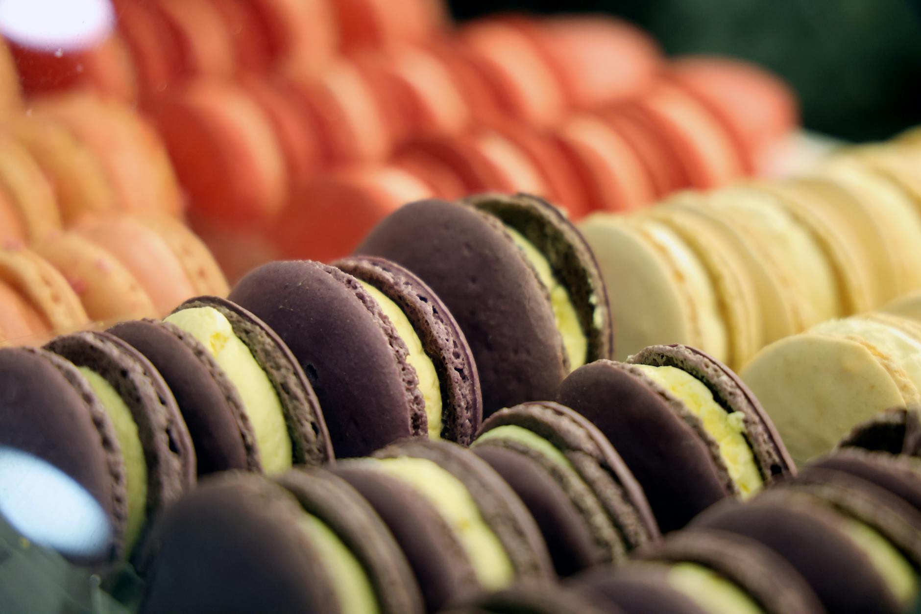 Colourful French macarons lined up in a bakery display case
