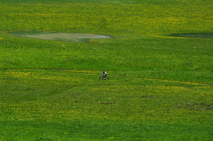 Cyclist in green fields Italy
