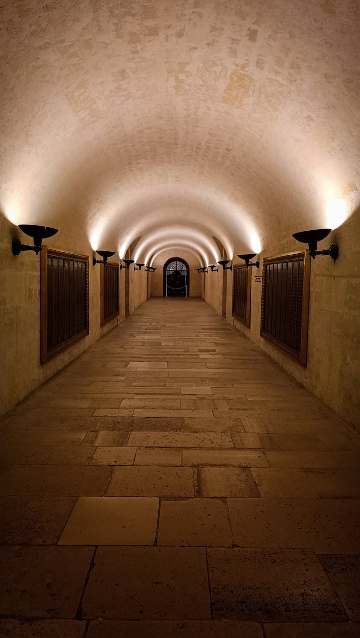 Dimly lit stone corridor with arched ceiling creating tunnel effect
