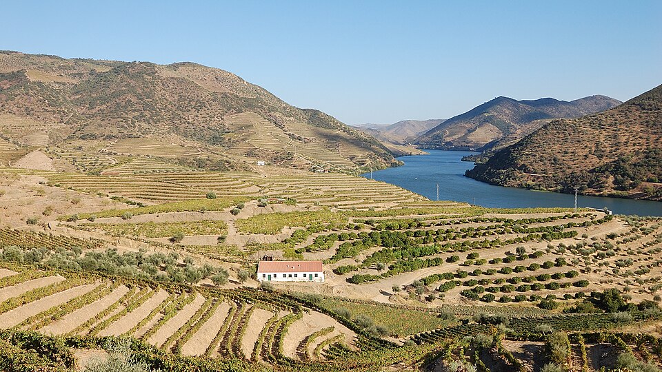 Historic terraced vineyards along the Douro River