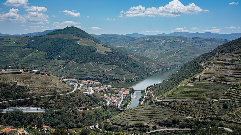 Green hillside vineyards in the Douro Valley