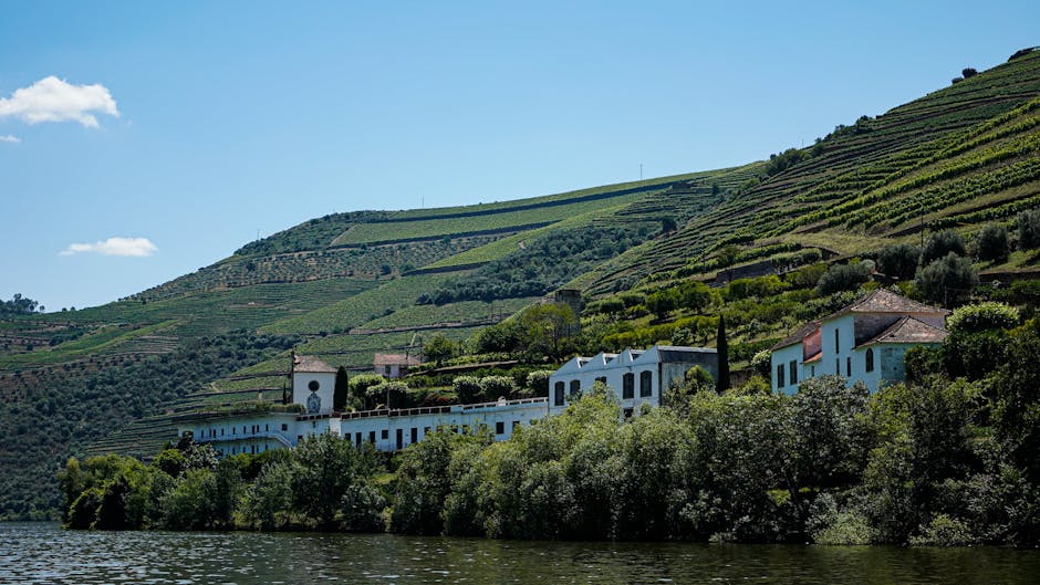 Douro River curving through terraced valley