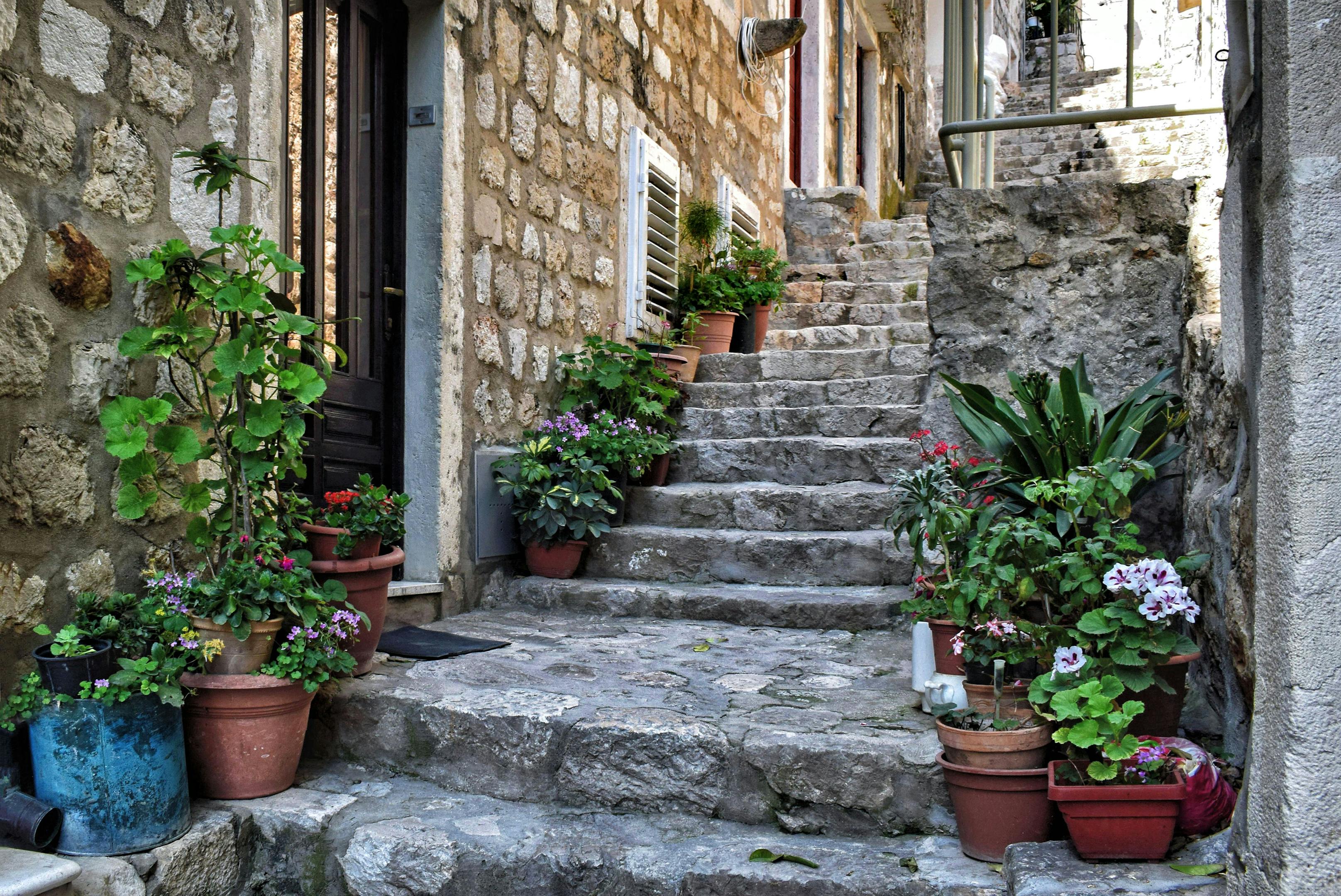 Rustic stone steps with vibrant flowerpots in a quaint Dubrovnik alleyway