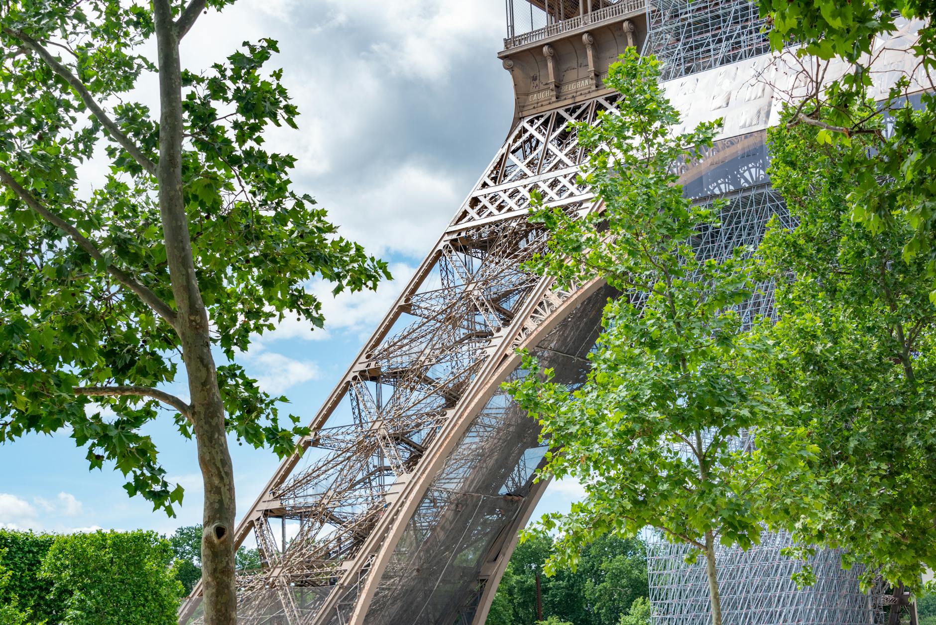 Eiffel Tower seen from a distance through a line of green trees on the Champ de Mars