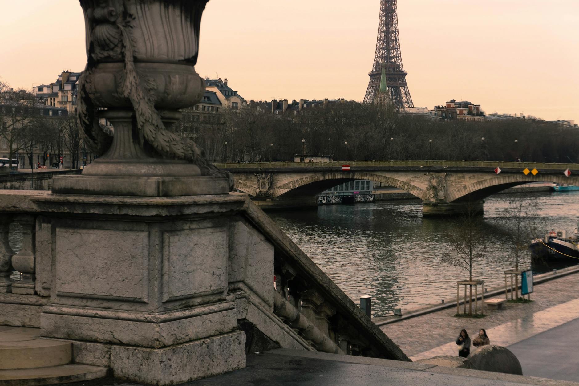 Elegant view of the Eiffel Tower from across the Seine with trees lining the riverbank