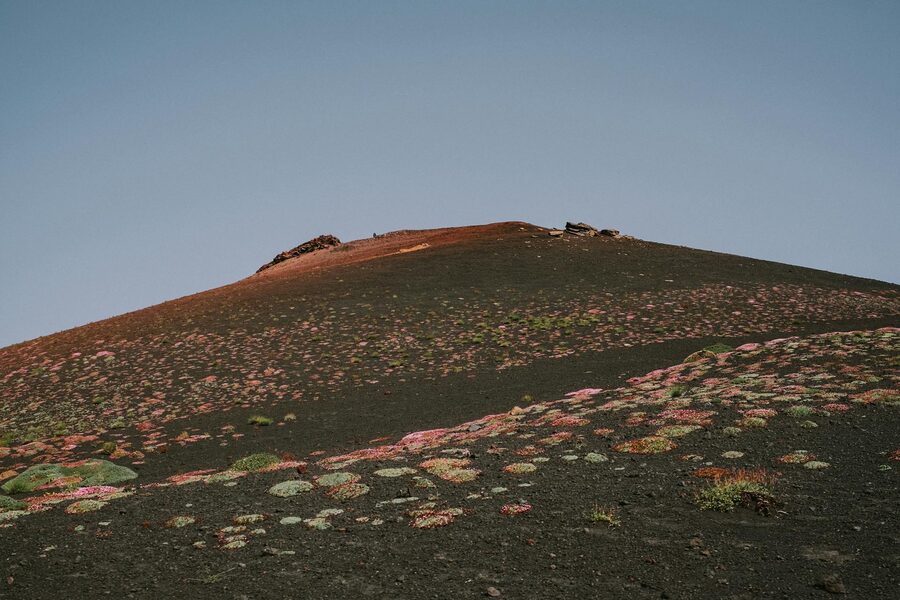 Etna terrain with red soil and scattered vegetation