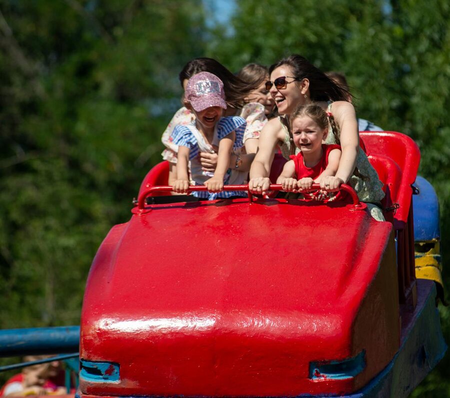 Children and adults experiencing thrill and joy on a roller coaster at a theme park