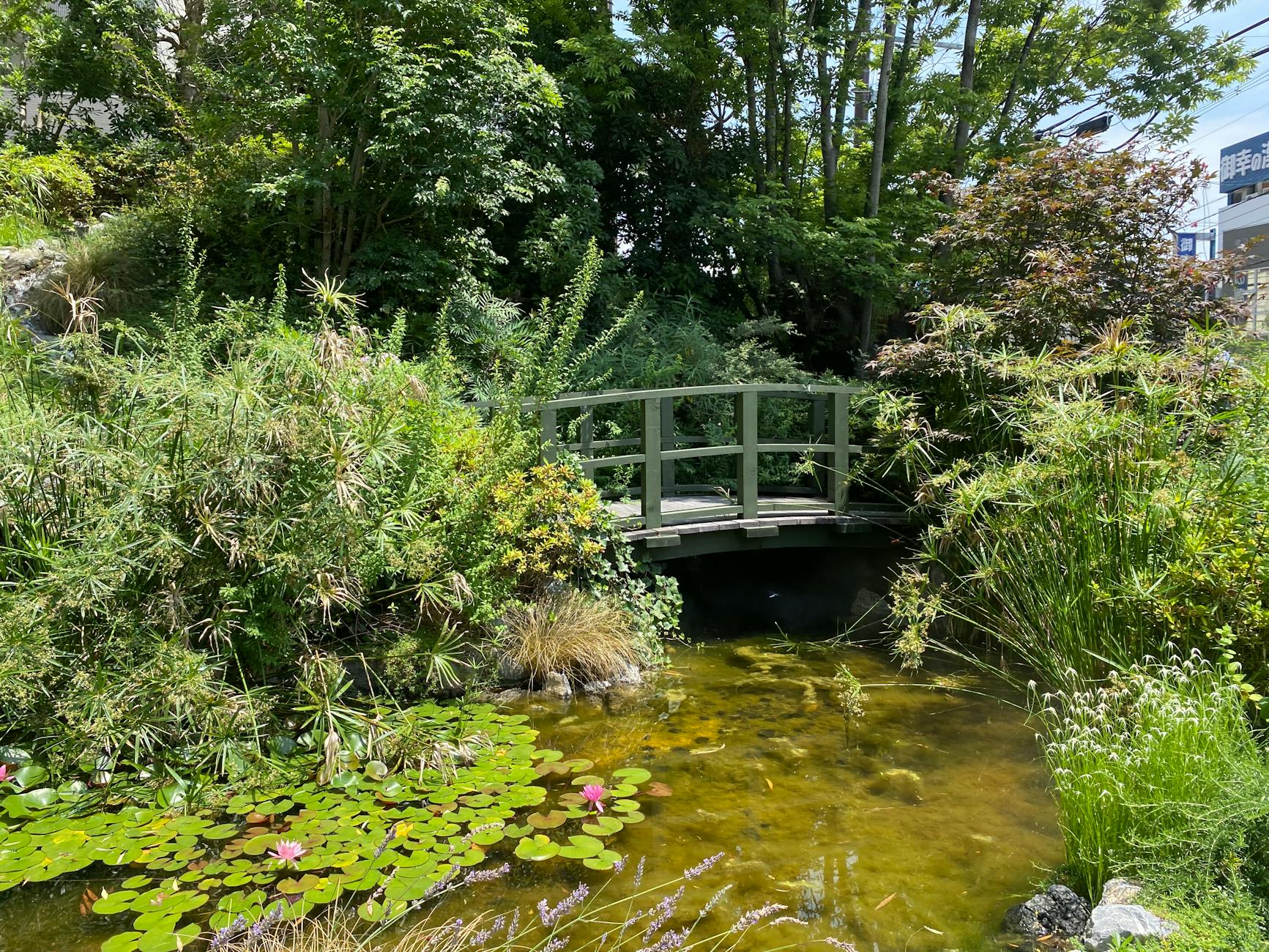 Garden wooden bridge over a pond with serene view