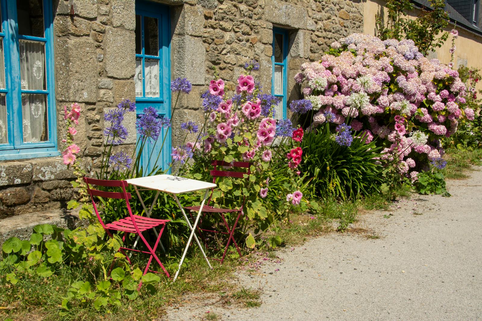 Bistro chairs in a cozy Giverny cottage garden with colorful flowers