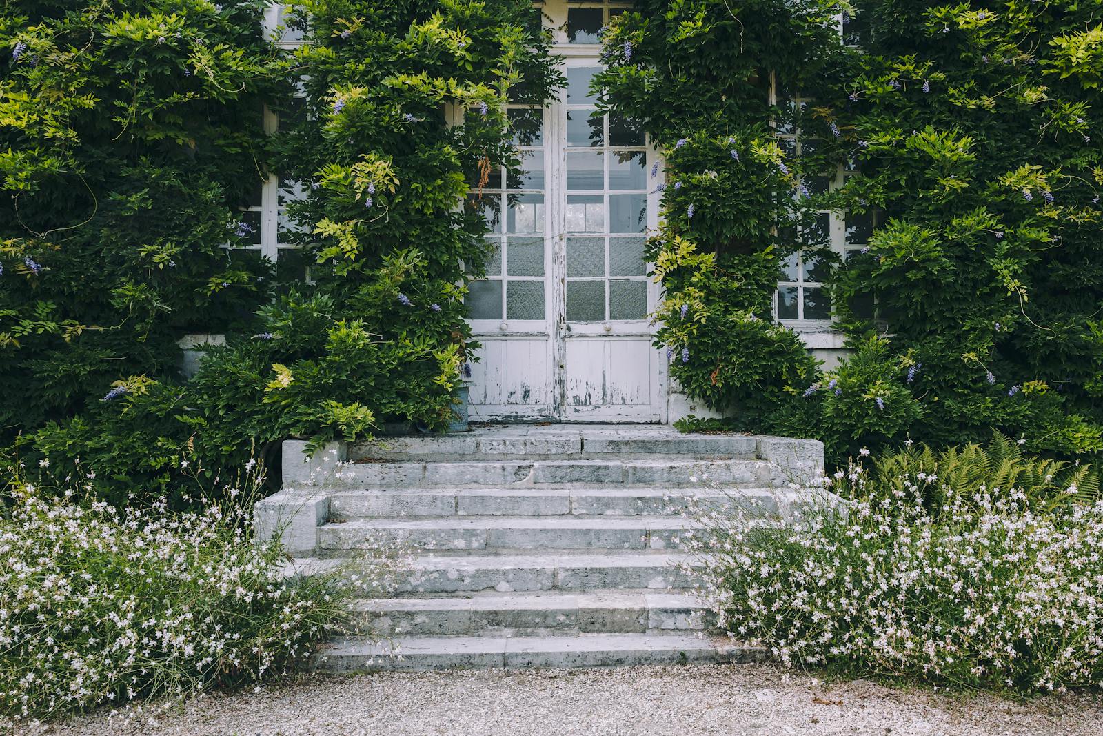 Picturesque Giverny garden entrance adorned with lush green wisteria