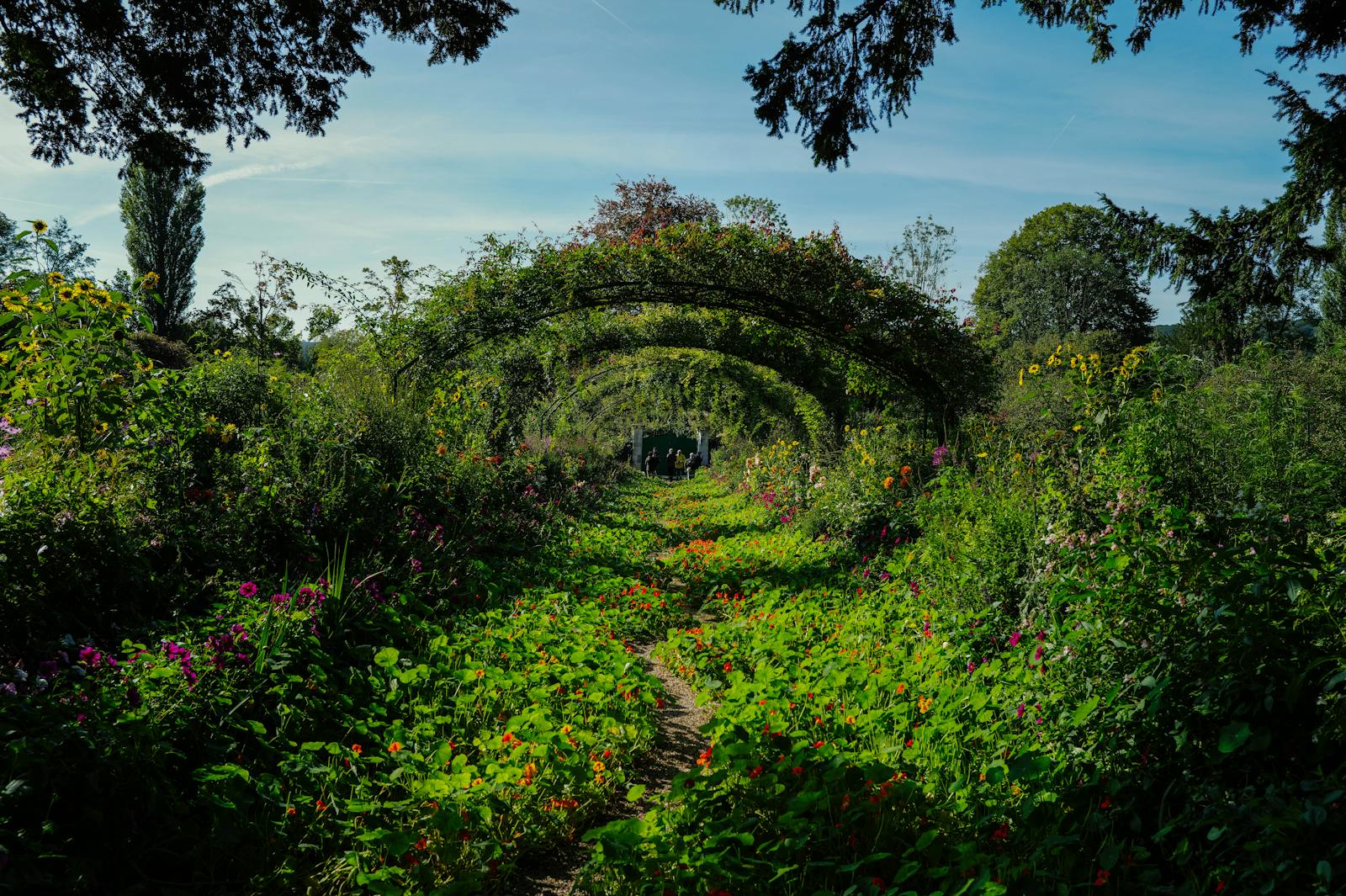 Colorful garden pathway with bright blooms at Monet's home in Giverny