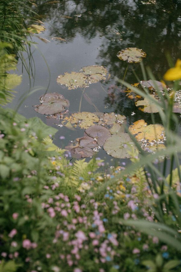 Lily pond surrounded by flowers in Monet's garden Giverny France