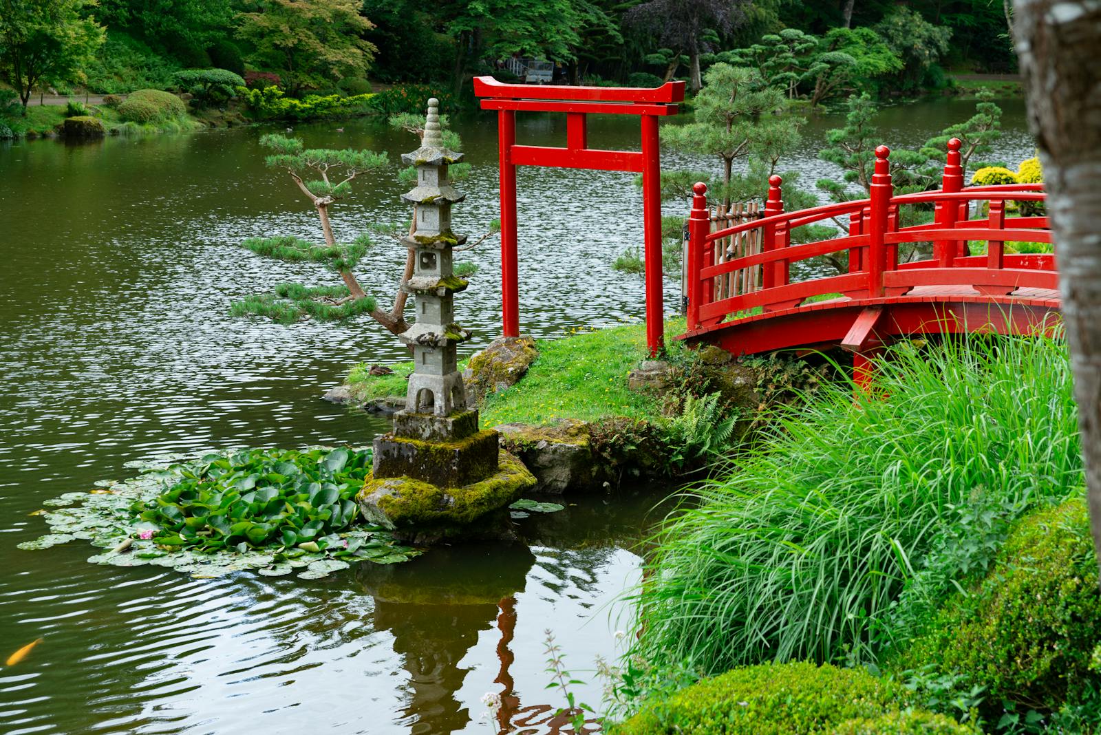Traditional Japanese-style bridge over a serene pond similar to Giverny