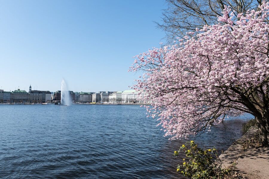 Hamburg city bike tour and sightseeing