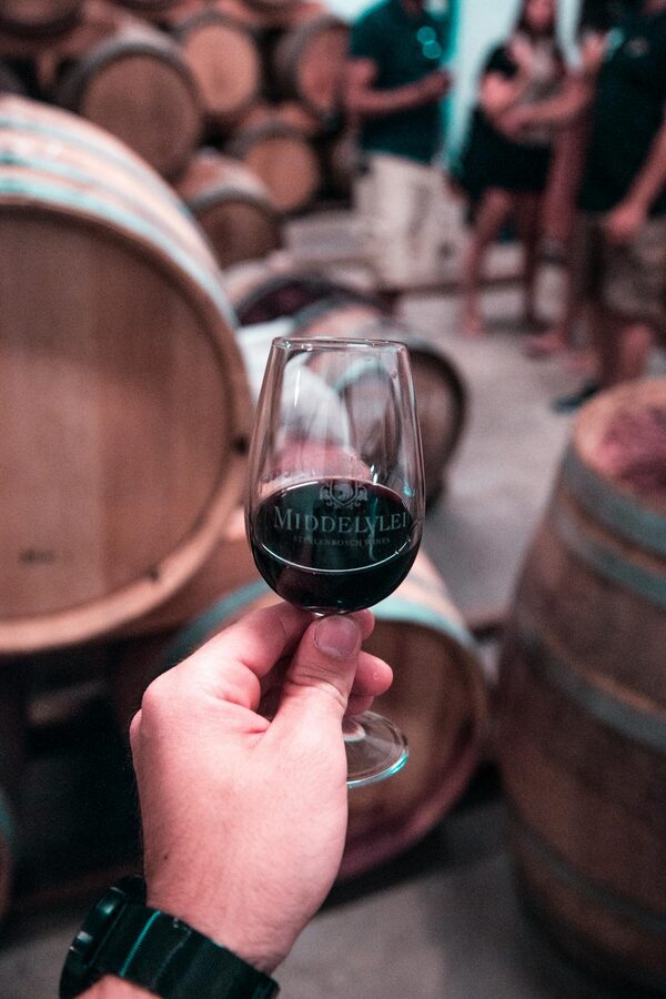 Hand holding red wine glass with oak barrels in the background