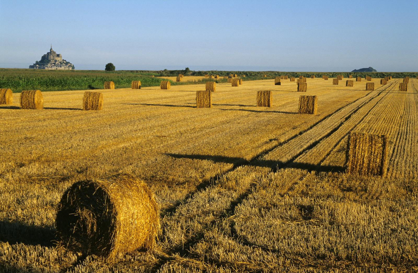Hay bales in golden Normandy fields with Mont Saint-Michel visible in the distance