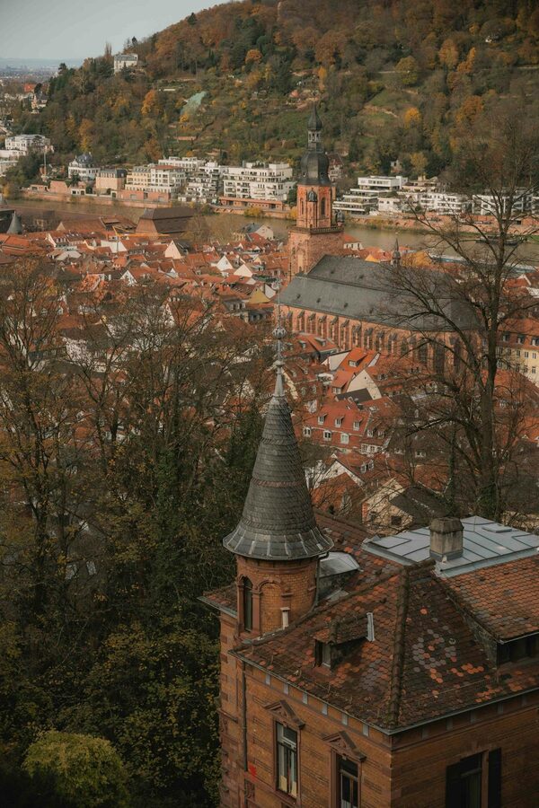 Heidelberg Neckar River with bridge and old town