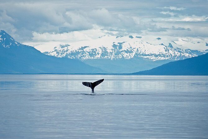 Juneau Wildlife Whale Watching - The Mendenhall Glacier stop: short, scenic, and no hiking required