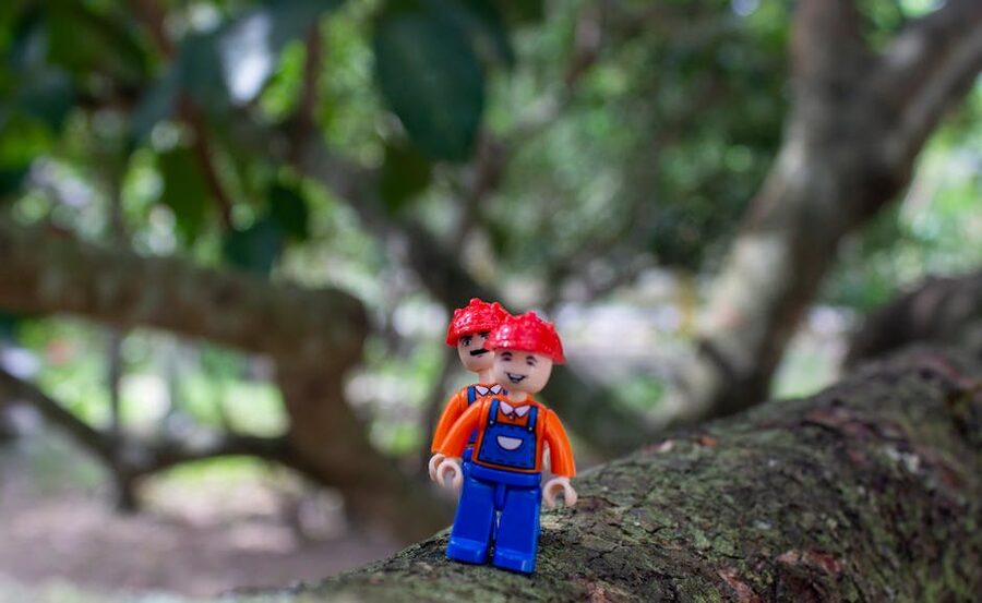 LEGO figure creative setting