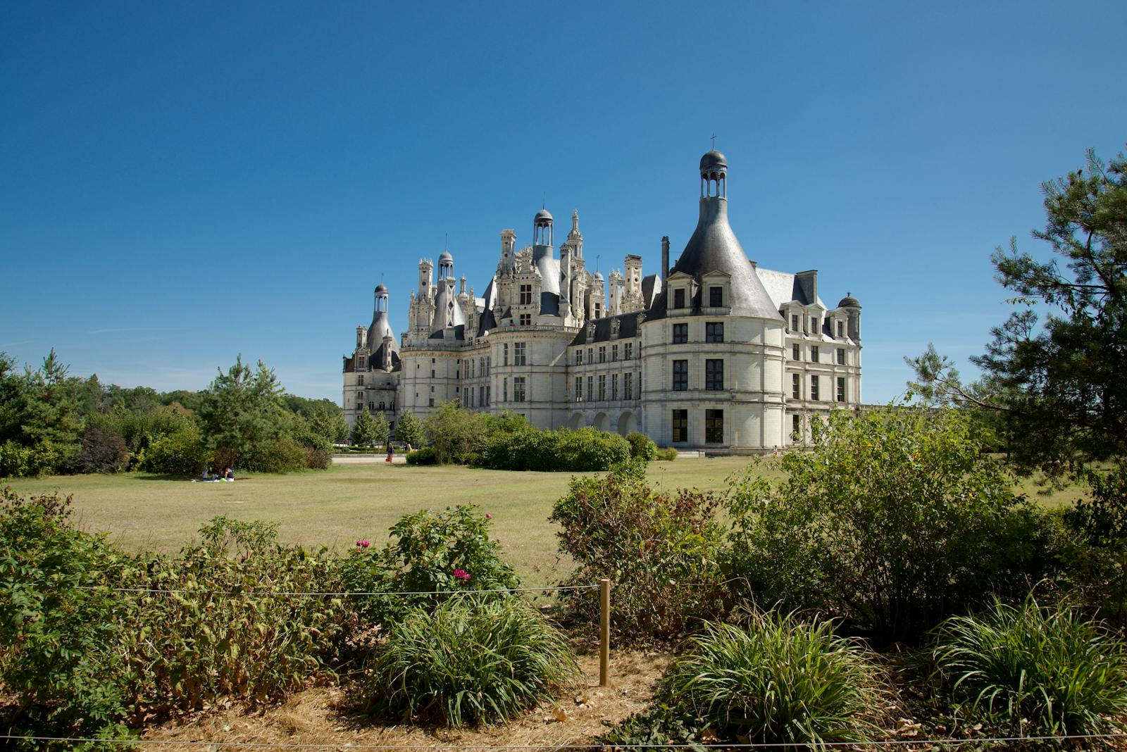 Chateau de Chambord surrounded by lush gardens under a blue sky in France