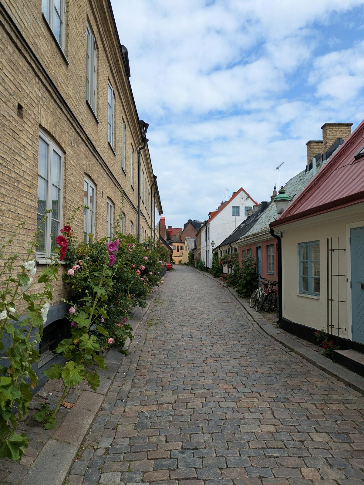 Cobblestone street with charming houses and flowers on a sunny day in Malmö