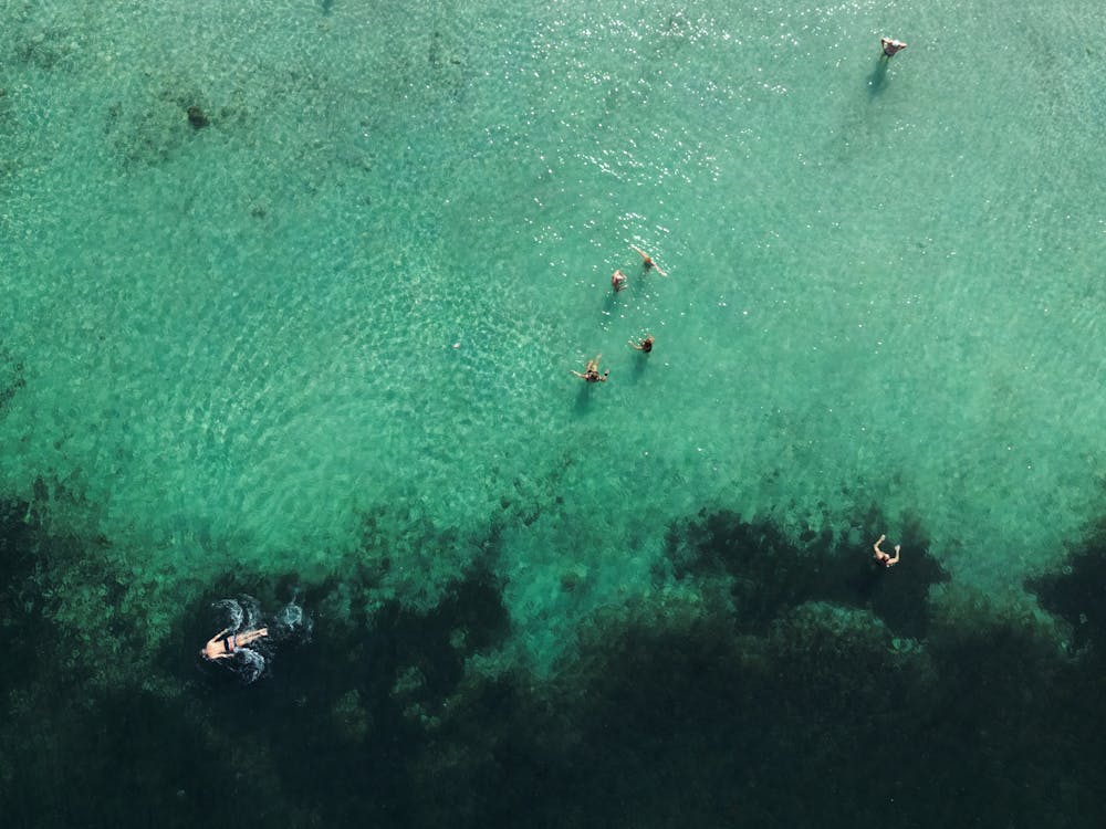 Aerial view of people swimming in turquoise sea off Malta coast