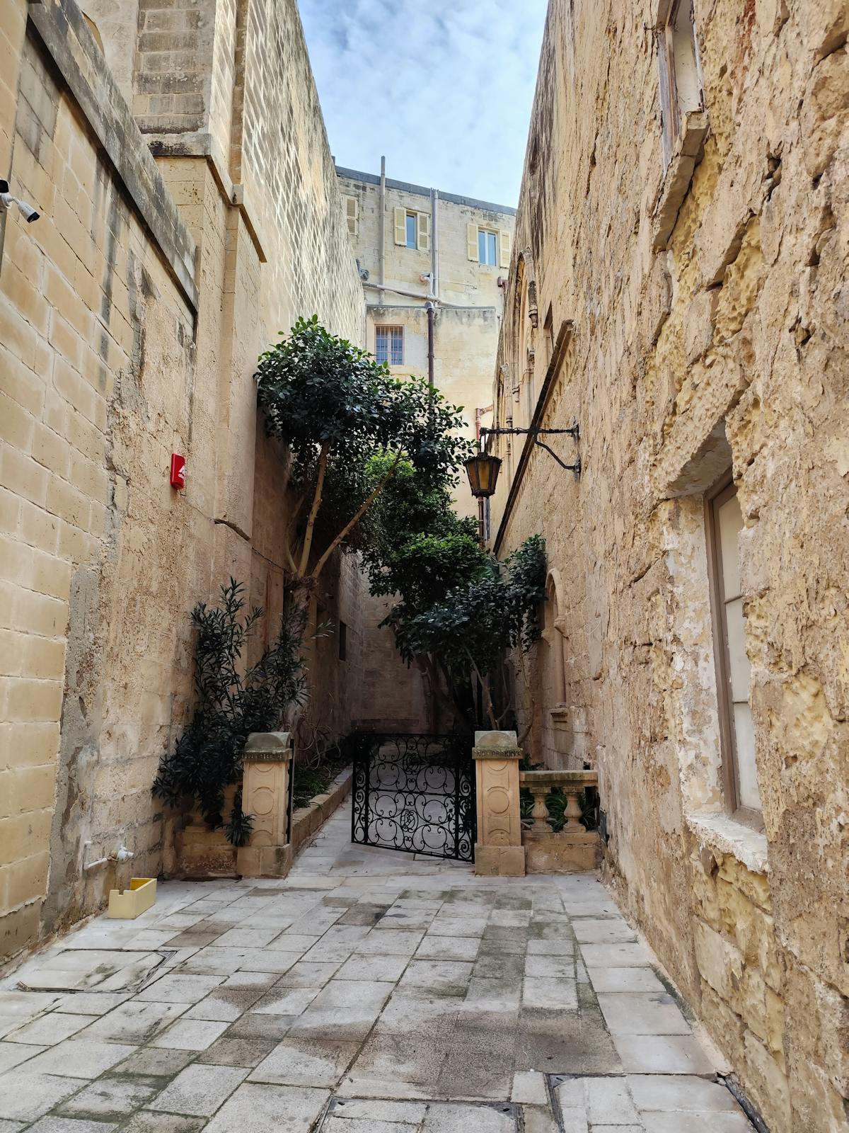 Charming stone alley in Mdina with lush greenery and historic architecture