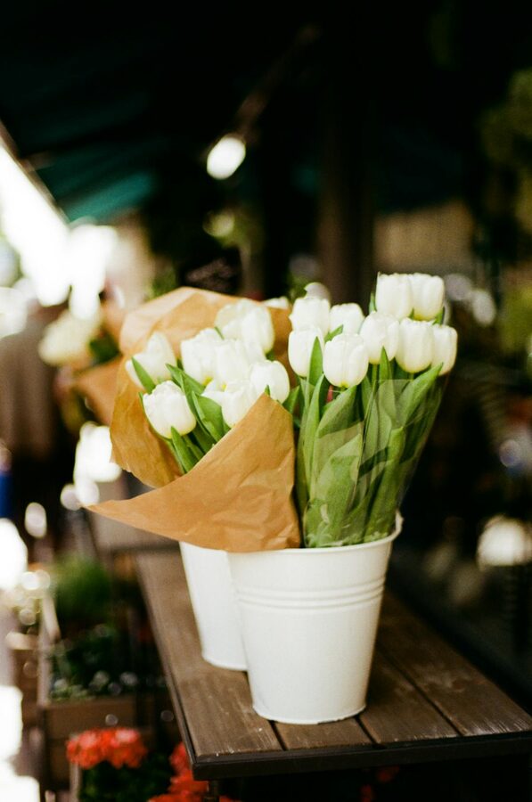 Colourful flowers at Nice market